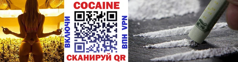 Купить закладки  Беломорск  COCAIN Эквадор 