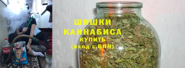 стафф Карпинск