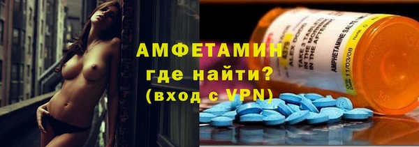 стафф Карпинск