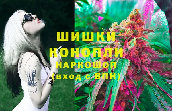 стафф Карпинск