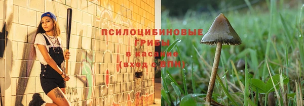 стафф Карпинск