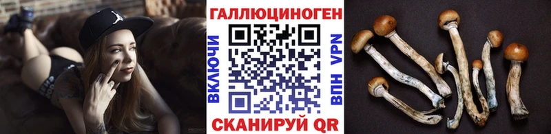 Псилоцибиновые грибы MAGIC MUSHROOMS  Купить  Беломорск 